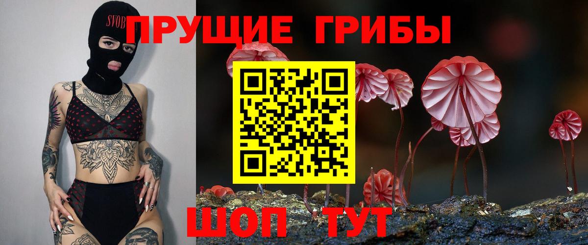 Батайск  Псилоцибиновые грибы GOLDEN TEACHER  Вход с VPN 